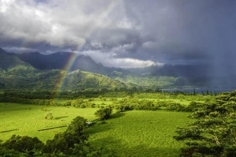 Villas and houses for sale in Koh Samui 11